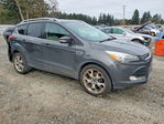 Ford Escape 2015