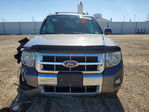 Ford Escape 2010