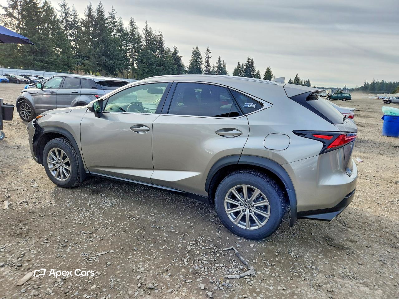 Lexus NX 2021