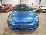 Volkswagen Beetle 2019