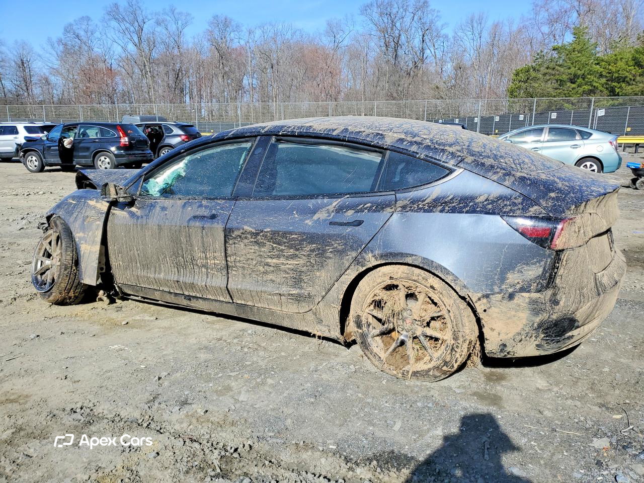 Tesla Model 3 2021