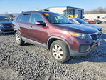Kia Sorento 2013