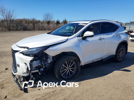 Lexus NX 2025 - Zdjęcie 1 z 13
