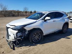 Lexus NX 2025
