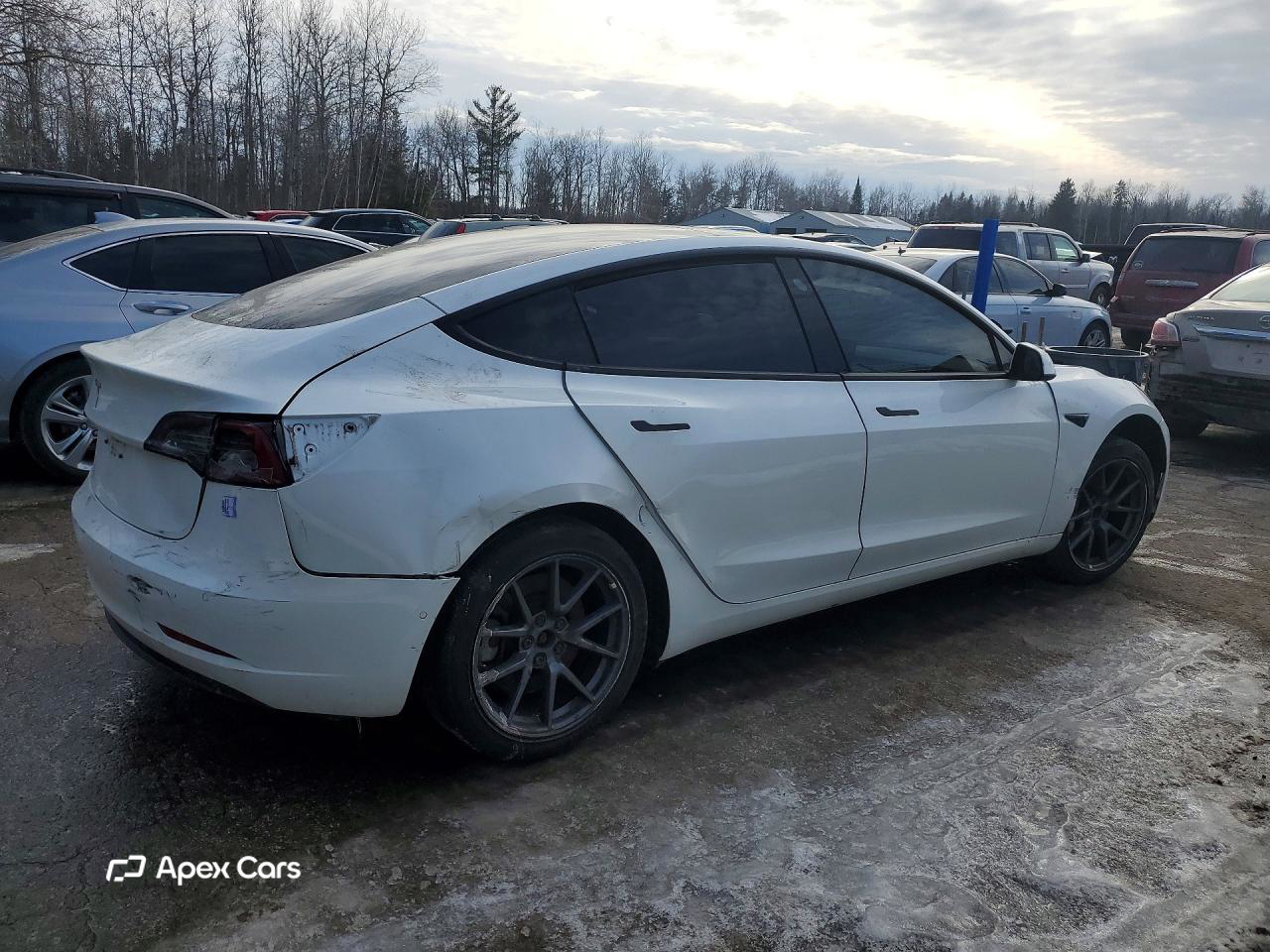 Tesla Model 3 2021