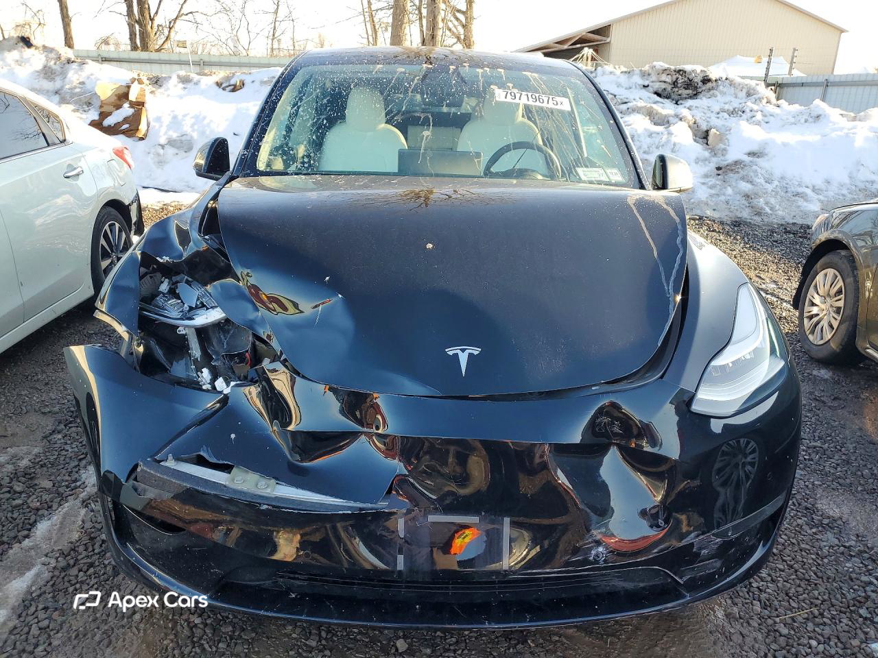 Tesla Model Y 2021