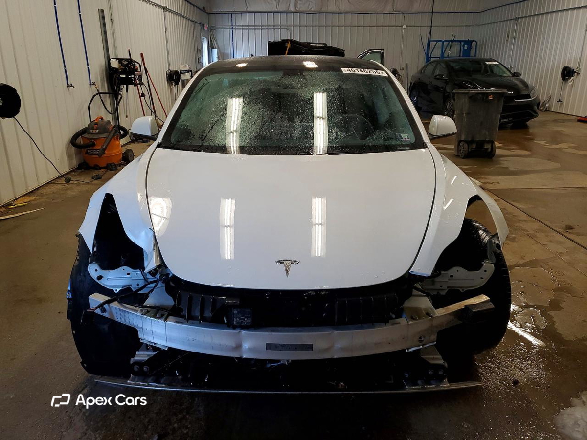 Tesla Model 3 2019