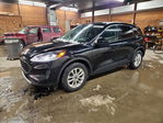 Ford Escape 2020