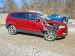 Ford Escape 2013