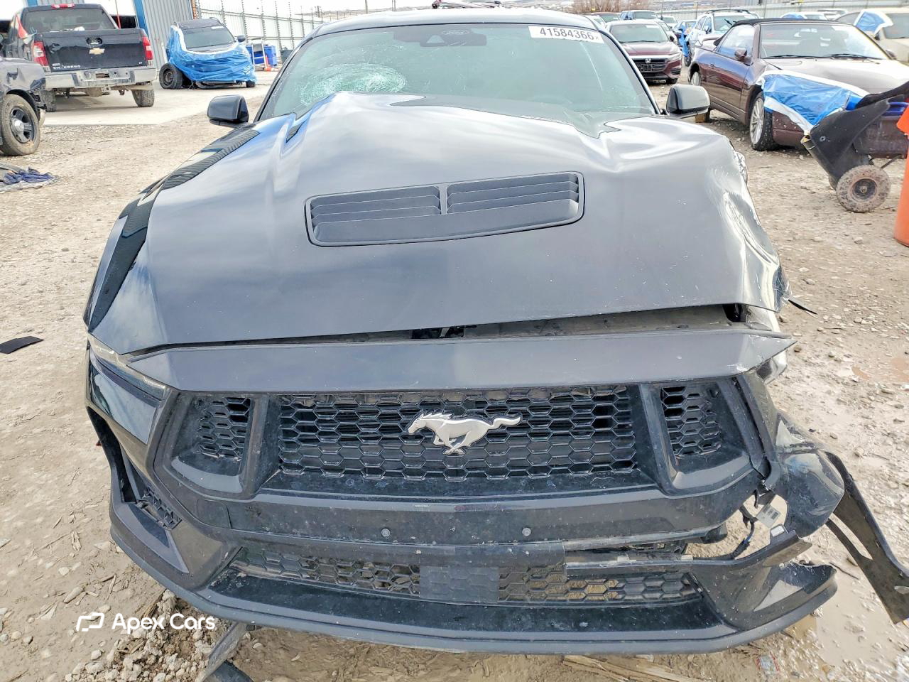 Ford Mustang 2024