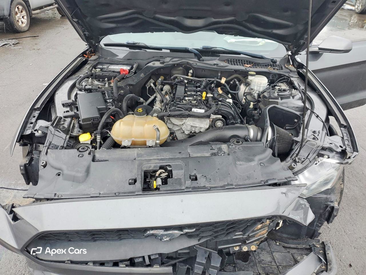 Ford Mustang 2019