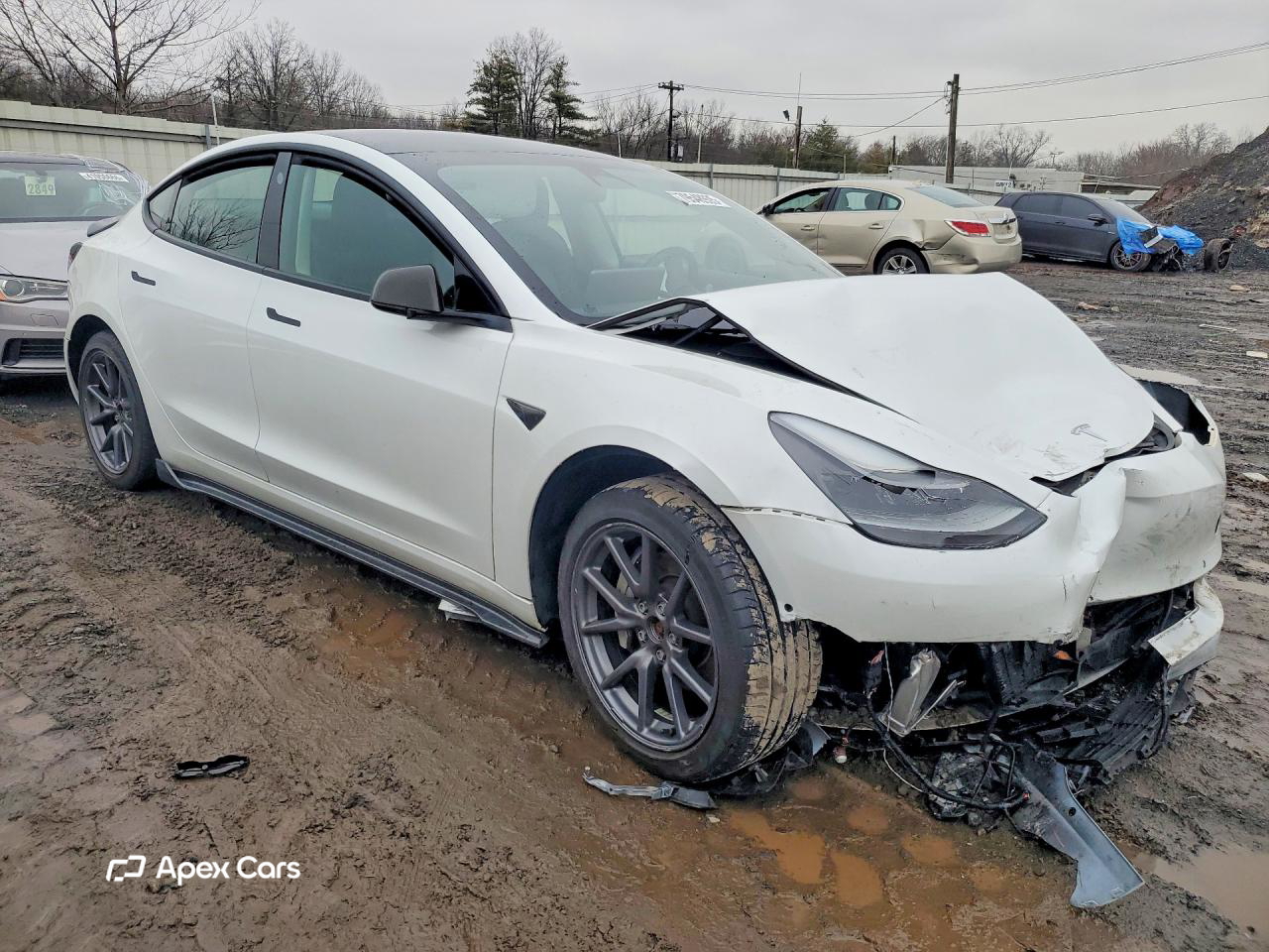 Tesla Model 3 2022