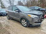 Ford Escape 2013