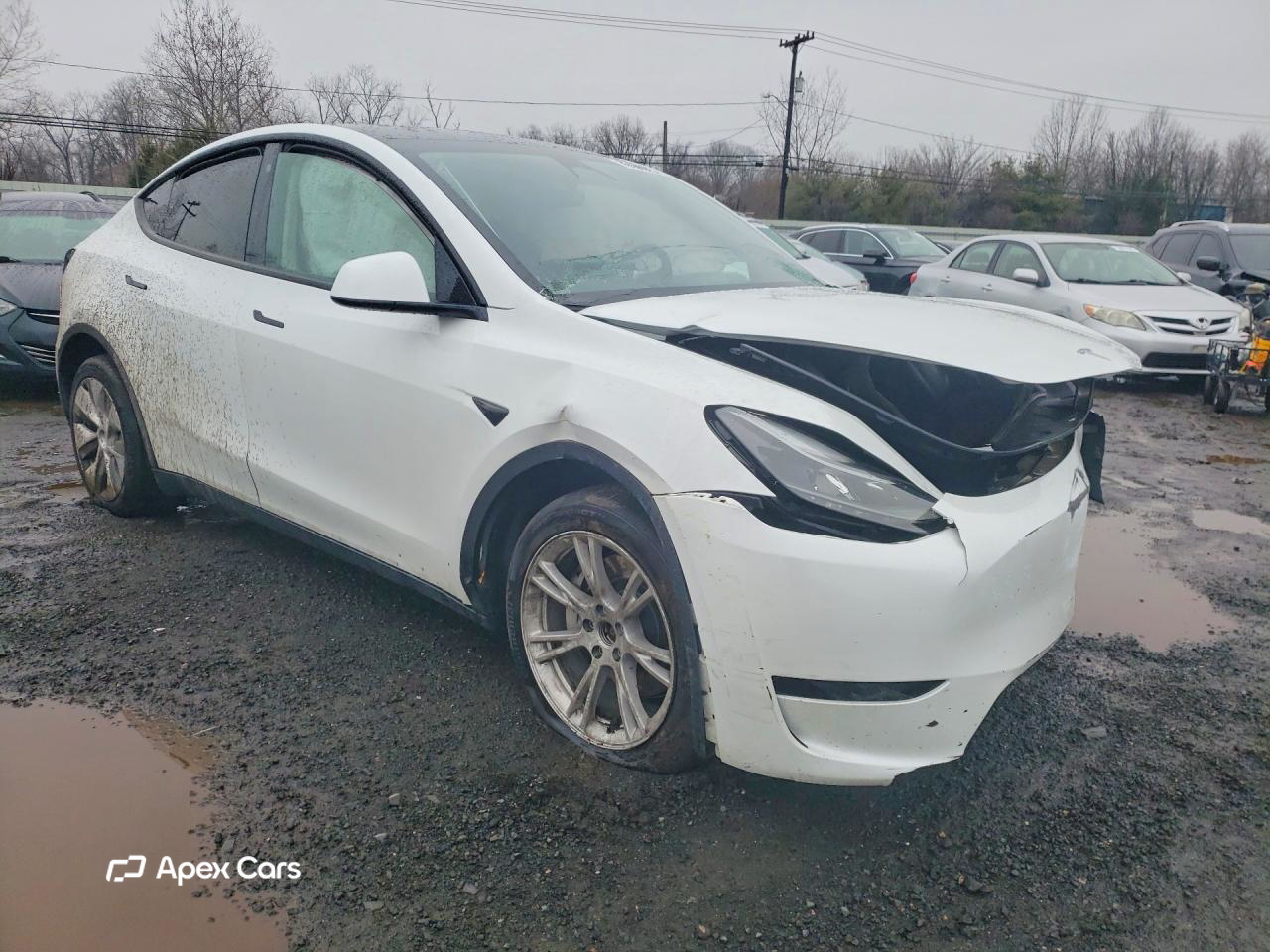 Tesla Model Y 2023