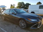 Lexus ES 2024
