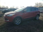 Ford Escape 2015
