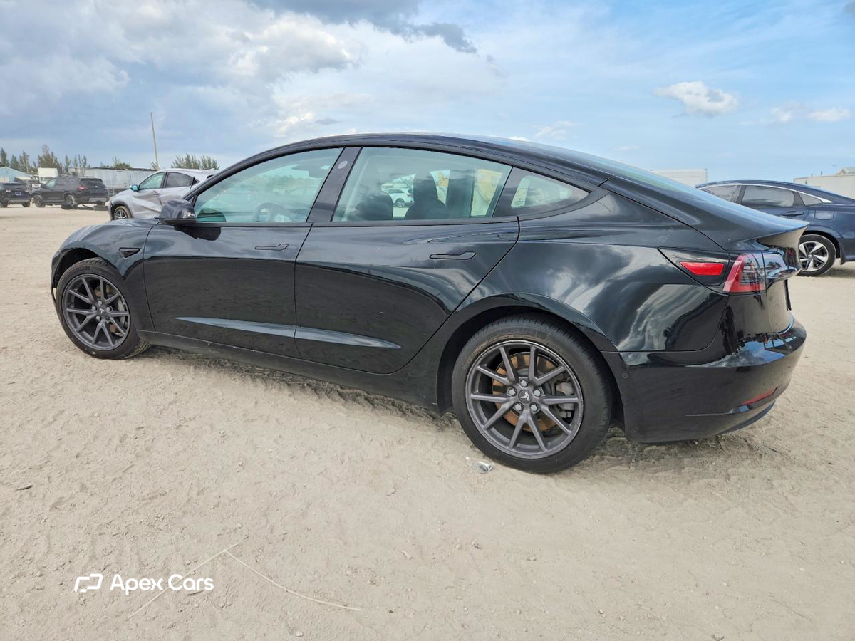 Tesla Model 3 2019