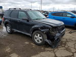 Ford Escape 2010
