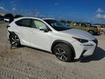 Lexus NX 2021