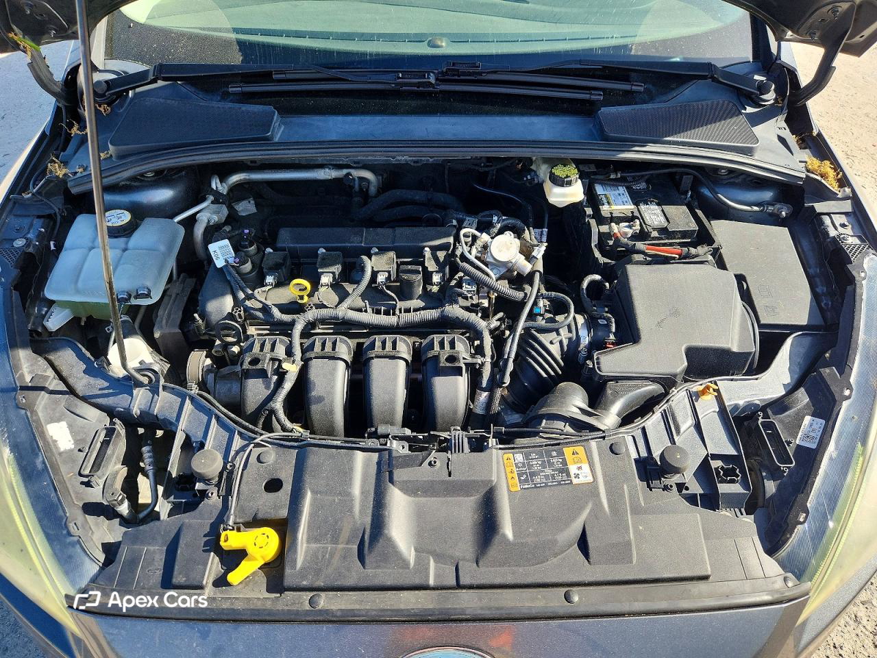 Ford Focus 2017