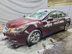 Honda Accord 2013