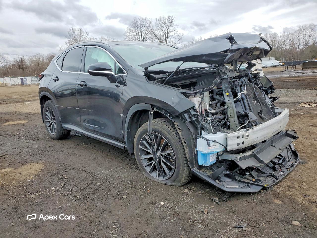 Lexus NX 2023