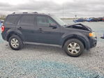 Ford Escape 2012