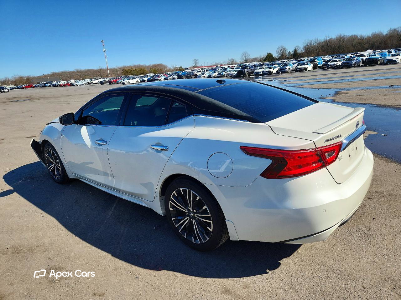 Nissan Maxima 2017