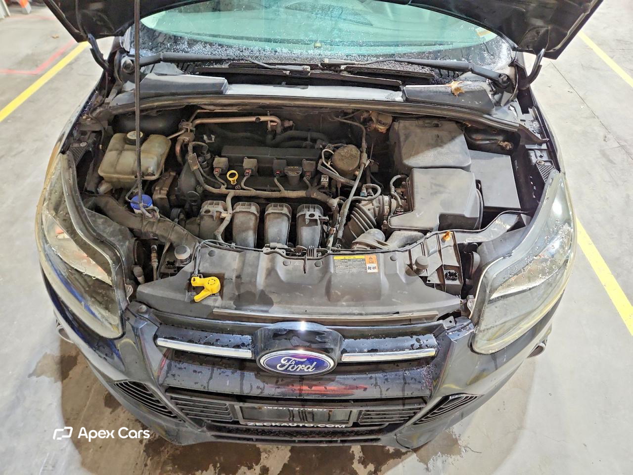 Ford Focus 2013
