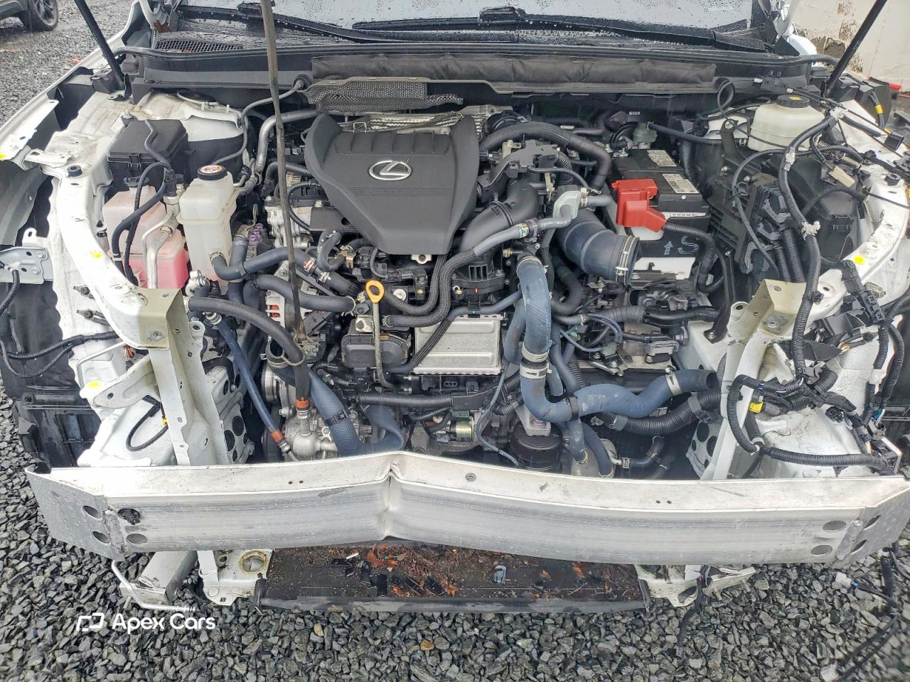 Lexus RX 2023