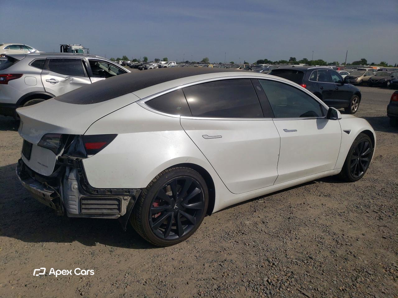 Tesla Model 3 2019