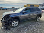 Toyota RAV 4 2021
