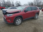 Toyota RAV 4 2024
