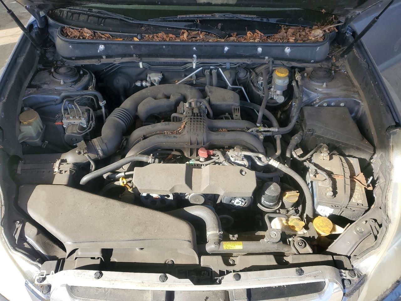 Subaru Outback 2014