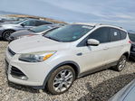 Ford Escape 2015