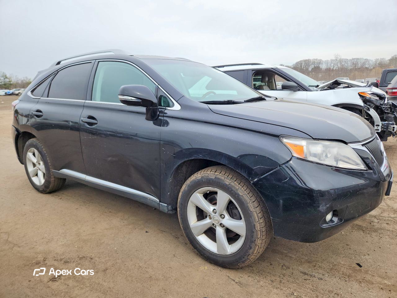 Lexus RX 2010