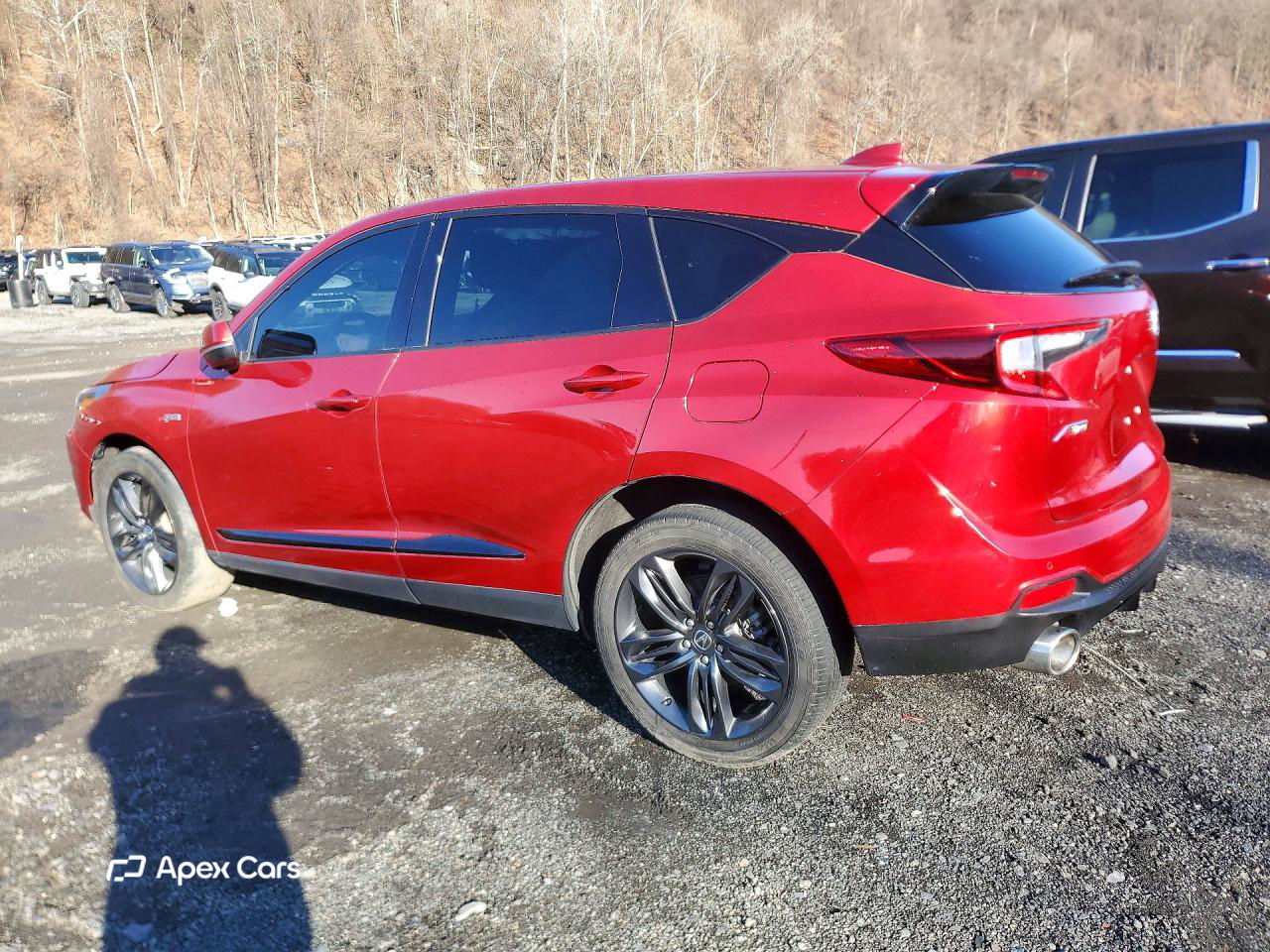 Acura RDX 2022