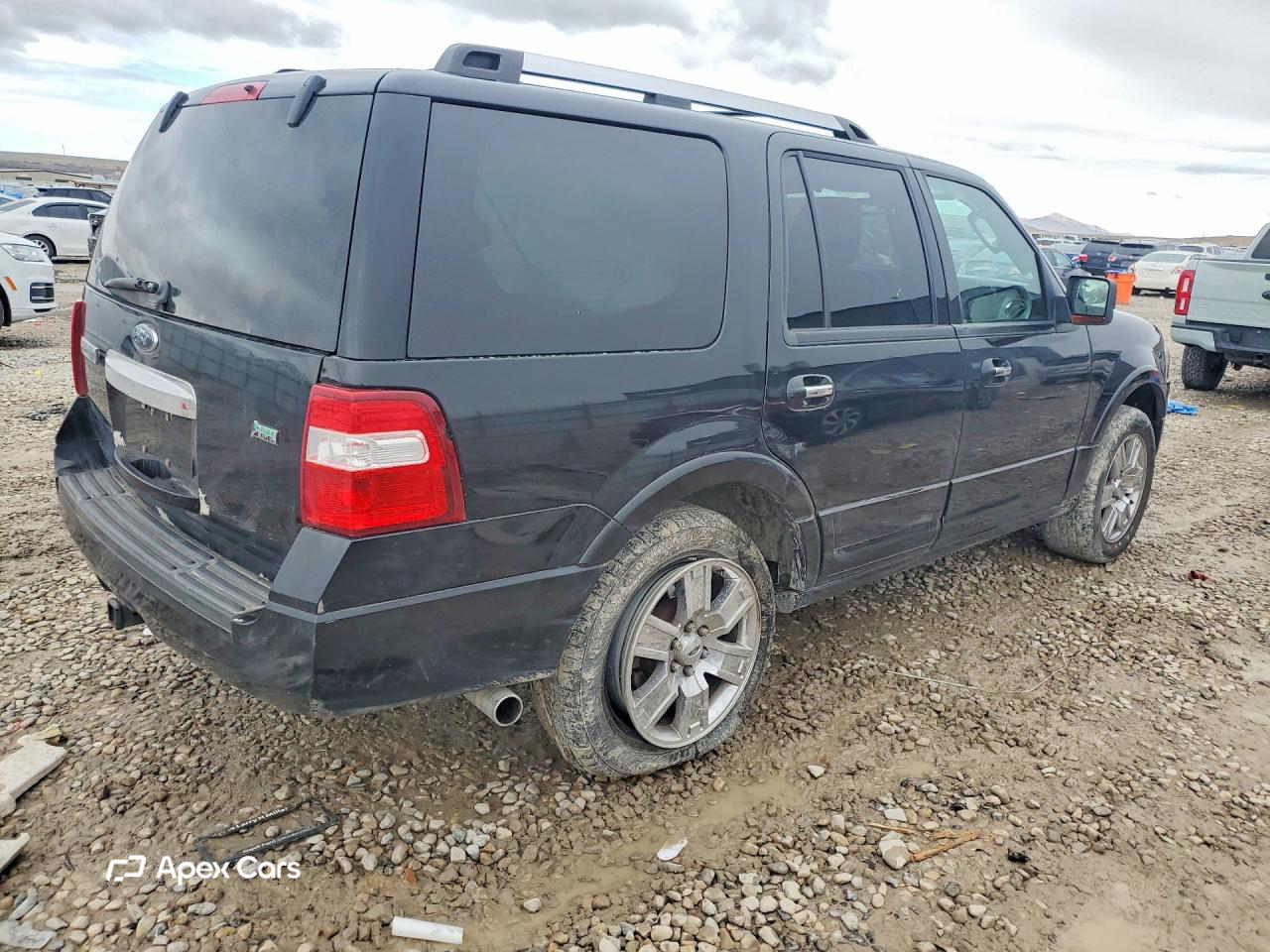 Ford Expedition 2010