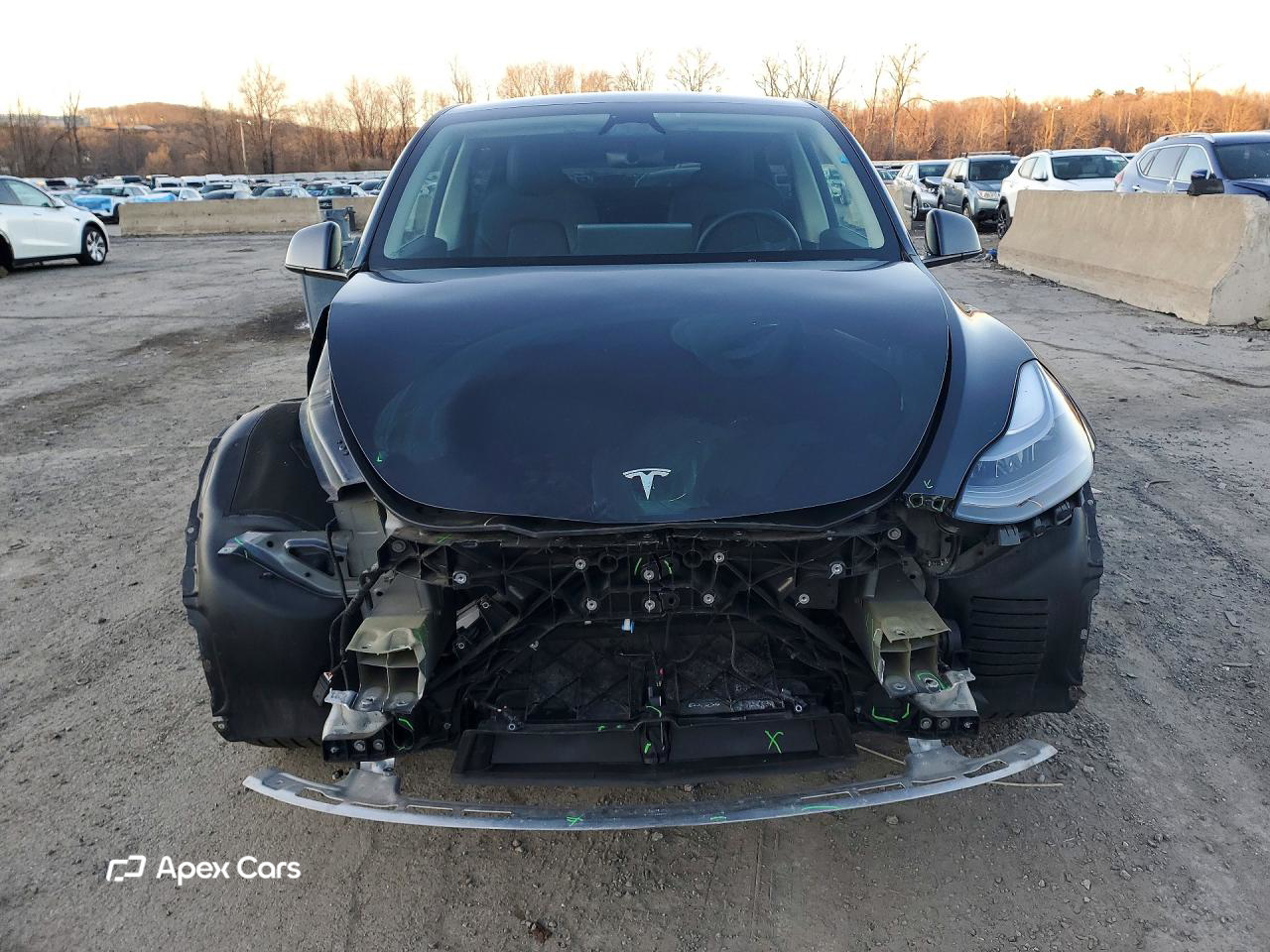 Tesla Model Y 2024