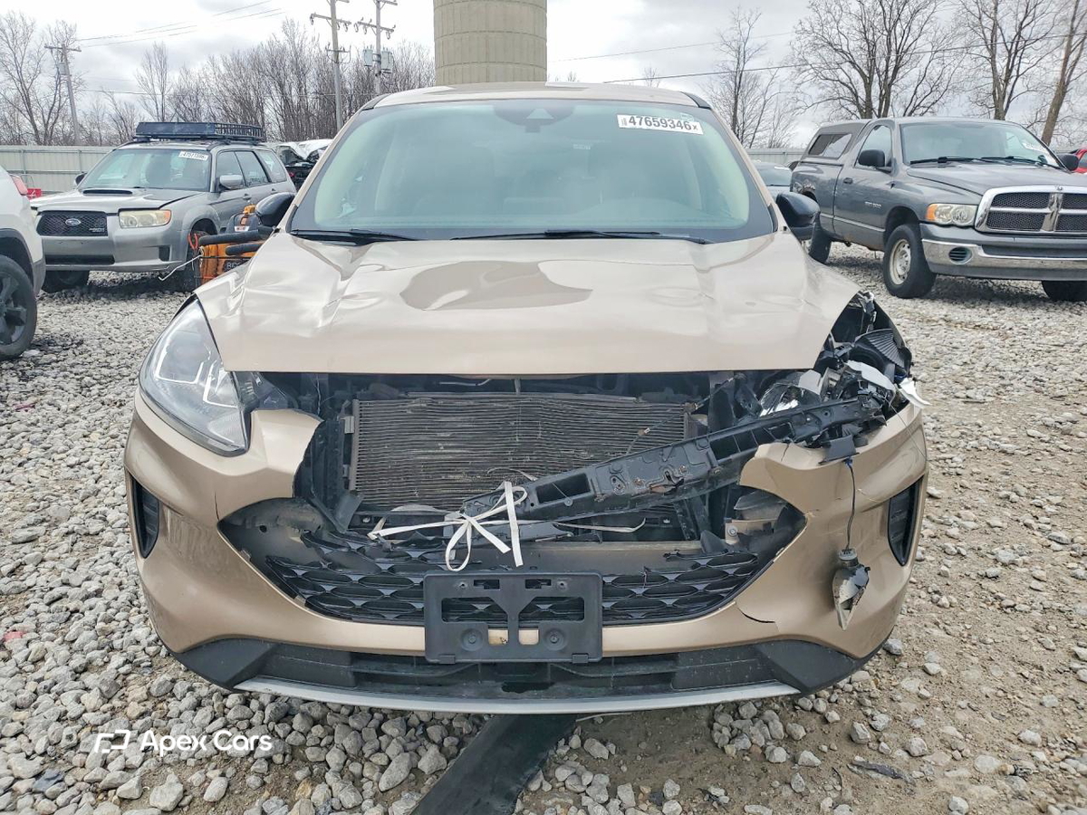 Ford Escape 2020