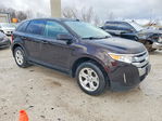 Ford Edge 2013