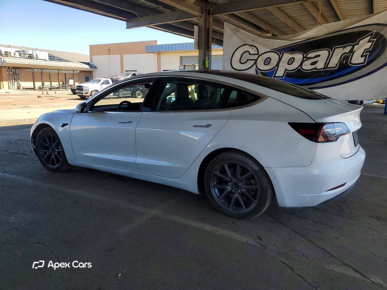 Tesla Model 3 2019