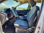 Ford Escape 2019