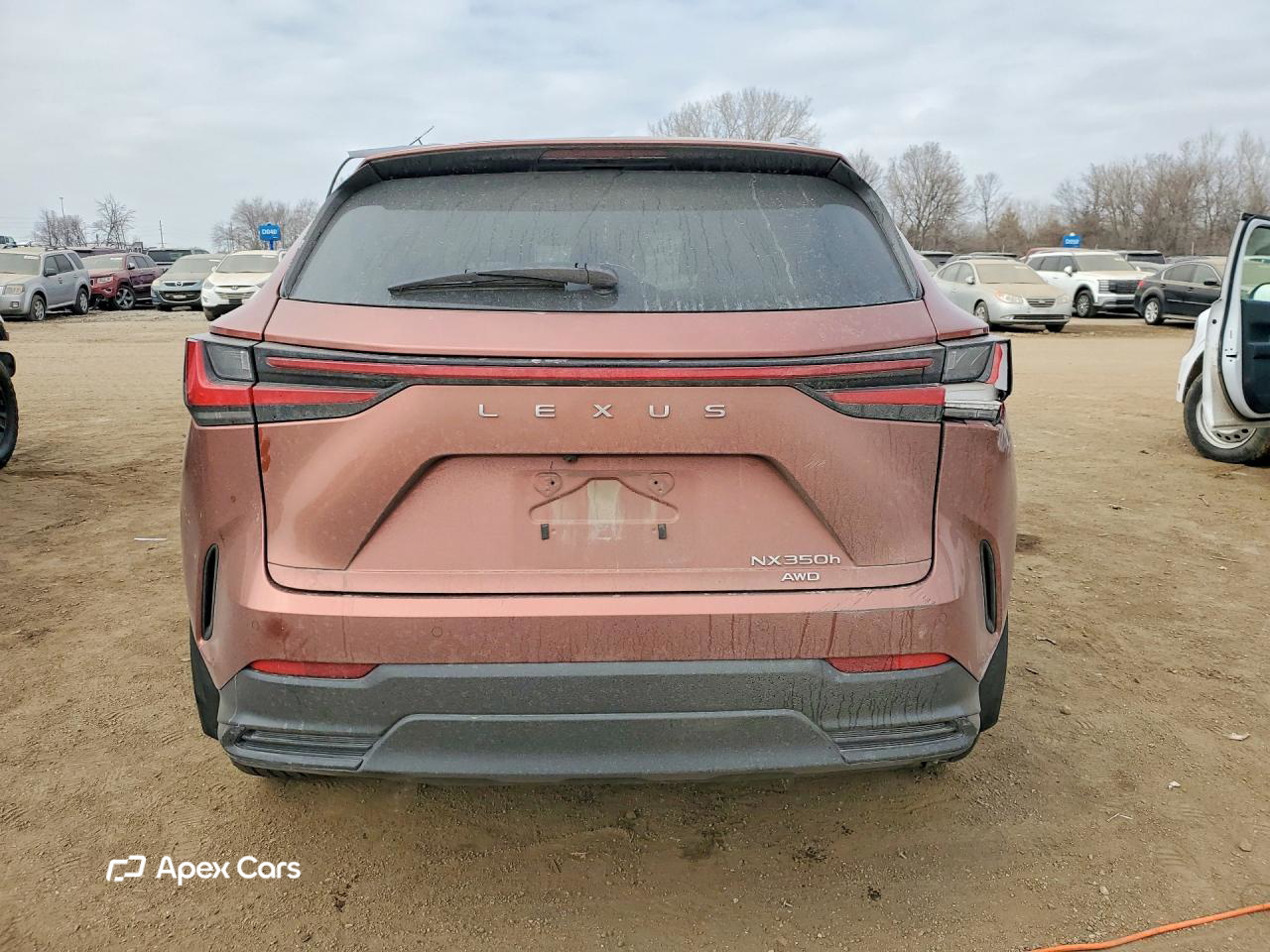 Lexus NX 2025