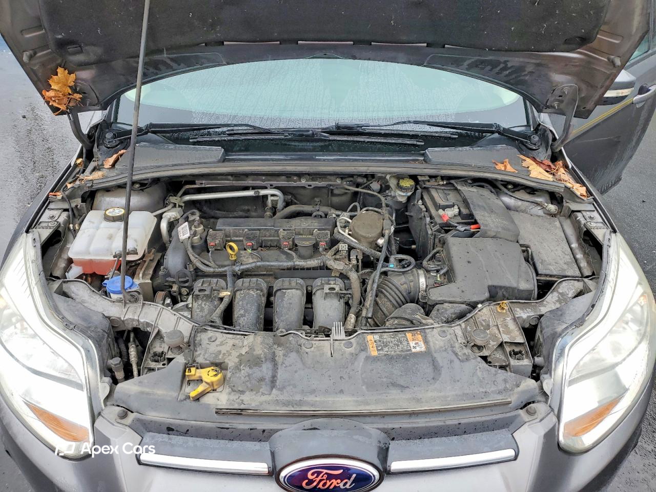 Ford Focus 2014