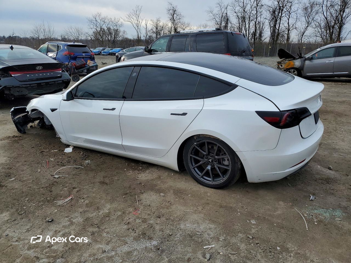 Tesla Model 3 2021