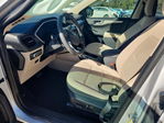 Ford Escape 2020