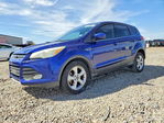 Ford Escape 2014