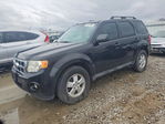 Ford Escape 2011