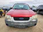 Ford Escape 2005